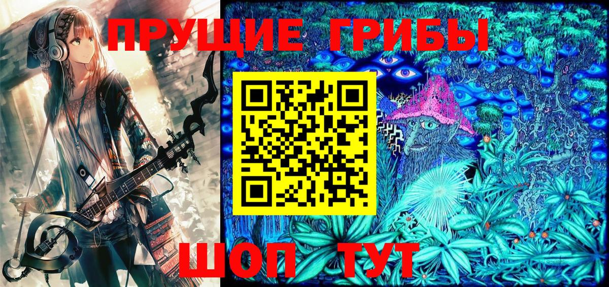 Псилоцибиновые грибы Psilocybine cubensis Мценск